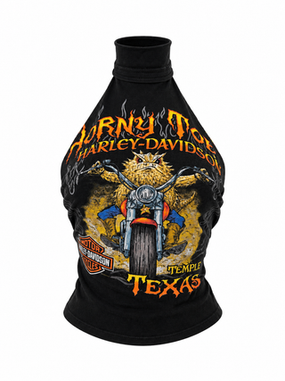 CUSTOM HARLEY DAVIDSON TOP